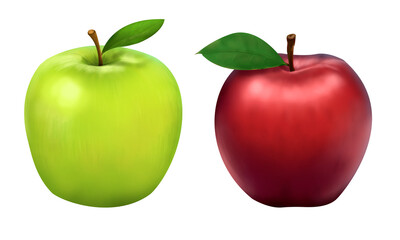 Hand drawn original digital art of super detailed green and red apples, photo realism, digital illustration. Hight quality art isolated on a transparent background, non-ai