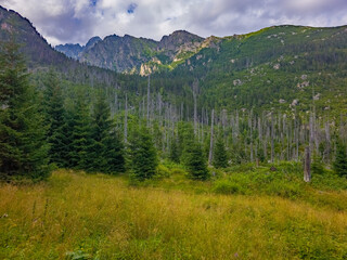 Hiking trail at Tatranska Lomnica in Slovakia