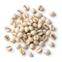 Close-up of jobs tears grains isolated on a white background, highlighting their smooth texture