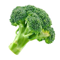 Piece of Broccoli isolate on transparency background