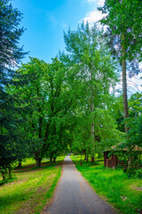 Konopsite palace park in Czech republic
