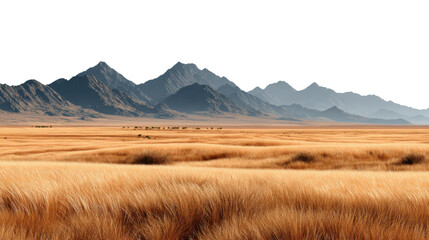 Obraz premium Golden expanse landscape with Majestic Mountain Range: An expansive landscape captures the raw beauty of a vast, open plain of golden grass, with a majestic mountain range.