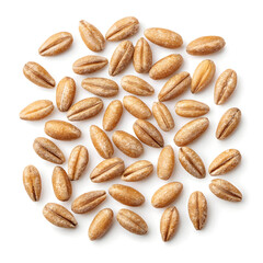 Obraz premium Close-up image of farro grains isolated on a white background, showcasing their oval shape, light brown color,