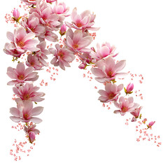 Obraz premium Realistic Magnolia Blossom Corner Decoration Isolated PNG