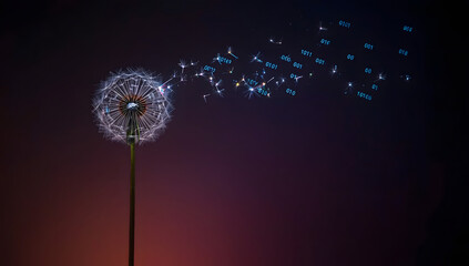 Dandelion dispersing binary code, Digital seeds of technology, The nature of data