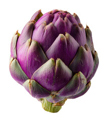 Obraz premium Harvesting fresh artichoke in vibrant garden food nature isolated on transparent background