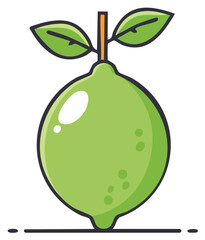 Fresh Green Lime Fruit with Leaves and Stem Illustration