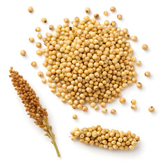 Close-up of sorghum grains isolated on a white background, showcasing their small round shape