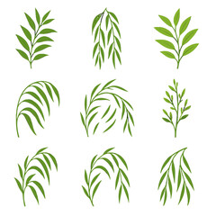 Fototapeta premium Branch bright willow stems narrow icon fresh budding vector long graceful arching