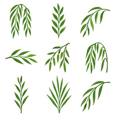 Naklejka premium Vector hanging thin shoots branch icon growth summer canes arching willow