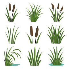 Flower icon stalks brown reeds vector reed rushes rush simple marsh stems