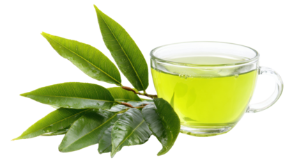 Green tea and tea leaves on a white background.