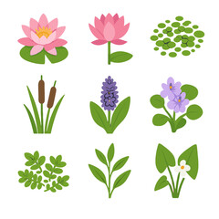 Cattail arrowhead icon vectors flower duckweed water plant pickerelweed patch fern vector