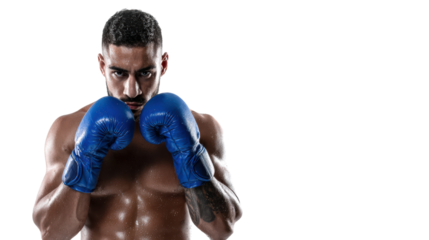 Male boxer ready to fight, wearing blue gloves, strong physique, isolated on white background.