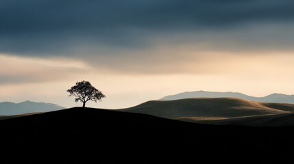 Solitary Tree Silhouette Against Dramatic Sky Over Rolling Hills at Dusk, Nature's Tranquil Beauty