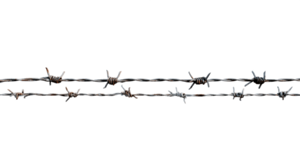Two Strands of Rusty Barbed Wire Isolated on Transparent Background, PNG