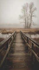 Misty wooden bridge through a tranquil marsh