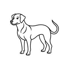 Dog line art vector, Animal dog, cute dog, babay dog
