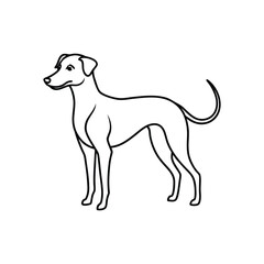 Dog line art vector, Animal dog, cute dog, babay dog