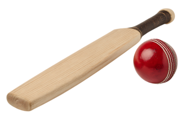 Close up of a cricket bat and ball.