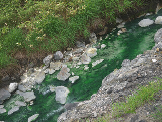Hot volcanic river with green algae and thermophiles in water