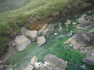 Hot volcanic river with green algae and thermophiles in water