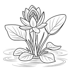 A water hyacinth flower illustration vector style coloring page 