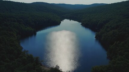 Aerial View of a Forest Lake