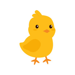 Cute Baby Chicks Illustration