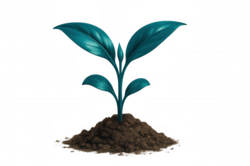 Vibrant turquoise succulent emerging from sandy soil, transparent backdrop highlighting botanical growth and environmental themes