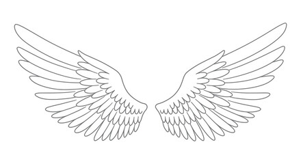 Fototapeta premium Detailed Line Drawing of a Pair of Wings