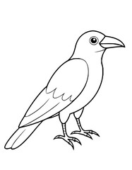 Elegant line art of a crow standing, perfect for coloring books, educational materials, or nature themed designs