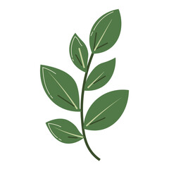 Botanical illustration of green leaves branch, minimal and natural design element for eco-friendly, organic, and floral themes.
