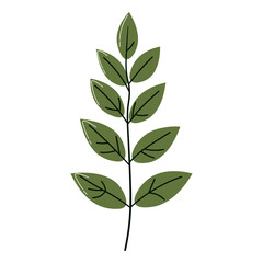Flat illustration of green compound leaf with multiple branches, symbolizing fresh nature, perfect for ecology or botanical design.