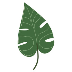 Illustration of tropical monstera-style green leaf, flat design, botanical theme, used for decoration, ecology, or summer projects.