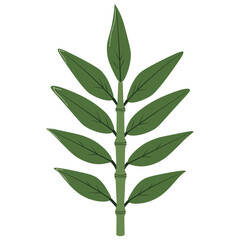 Elegant slim green leaf illustration, symbolizing freshness, tropical plants, natural environment, eco themes, foliage design, and greenery decoration.