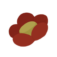 つばきの素材の手描きカラーイラスト