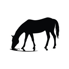 Horse Silhouette Drinking Water in Minimalistic Black and White Style, horse drinking water silhouette vector illustration