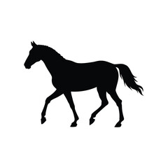 Elegant Black Horse Silhouette Gracefully Walking on a White Background with Details, horse walking in pasture silhouette vector illustration