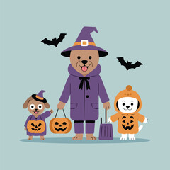 Three dogs dressed in Halloween costumes with pumpkins and bats pets trick or treat