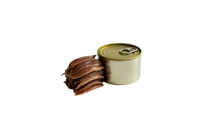 Canned anchovies and a stack of fillets isolated on transparent background