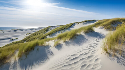 Grey Dunes at the Curonian Spit