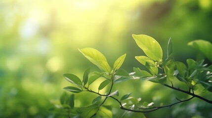 Obraz premium detailed high resolution macro shot, lush green leaves, soft bokeh background, golden hour natural lighting, intricate leaf veins and textures, vibrant rich colors, photograph 