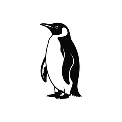 Obraz premium Black and white penguin standing bird animal