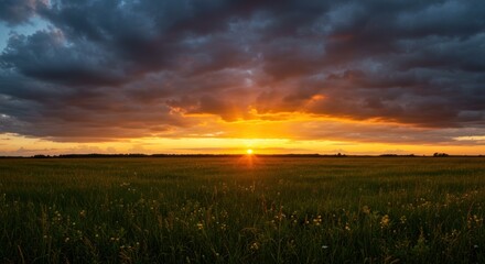 Golden sunset over a vast grassy plain, dramatic clouds.