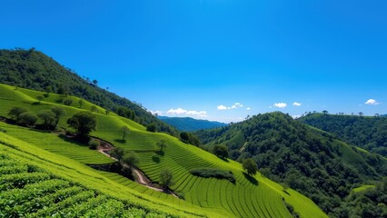 Fototapeta premium Lush green mountain view under clear blue sky