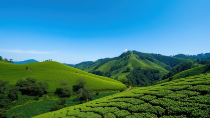 Obraz premium Lush green mountain view under clear blue sky