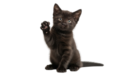 An adorable tiny black kitten with bright, expressive eyes and a raised paw, sitting playfully on a crisp white background, showcasing its innocent charm and mischievous spirit