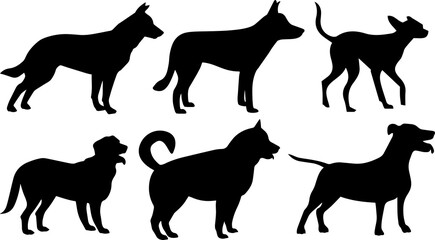 Dog vector, Dog png
