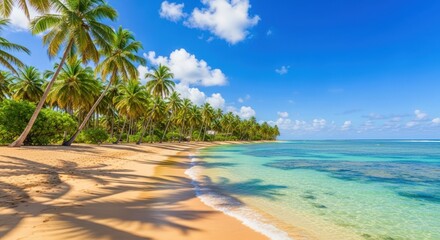Obraz premium Idyllic Tropical Beach with Palm Trees, Turquoise Water and Blue Sky in the Caribbean
